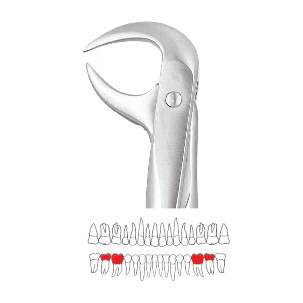 GDC Extraction Forceps Lower Molars - 86A Standard (FX86AS)