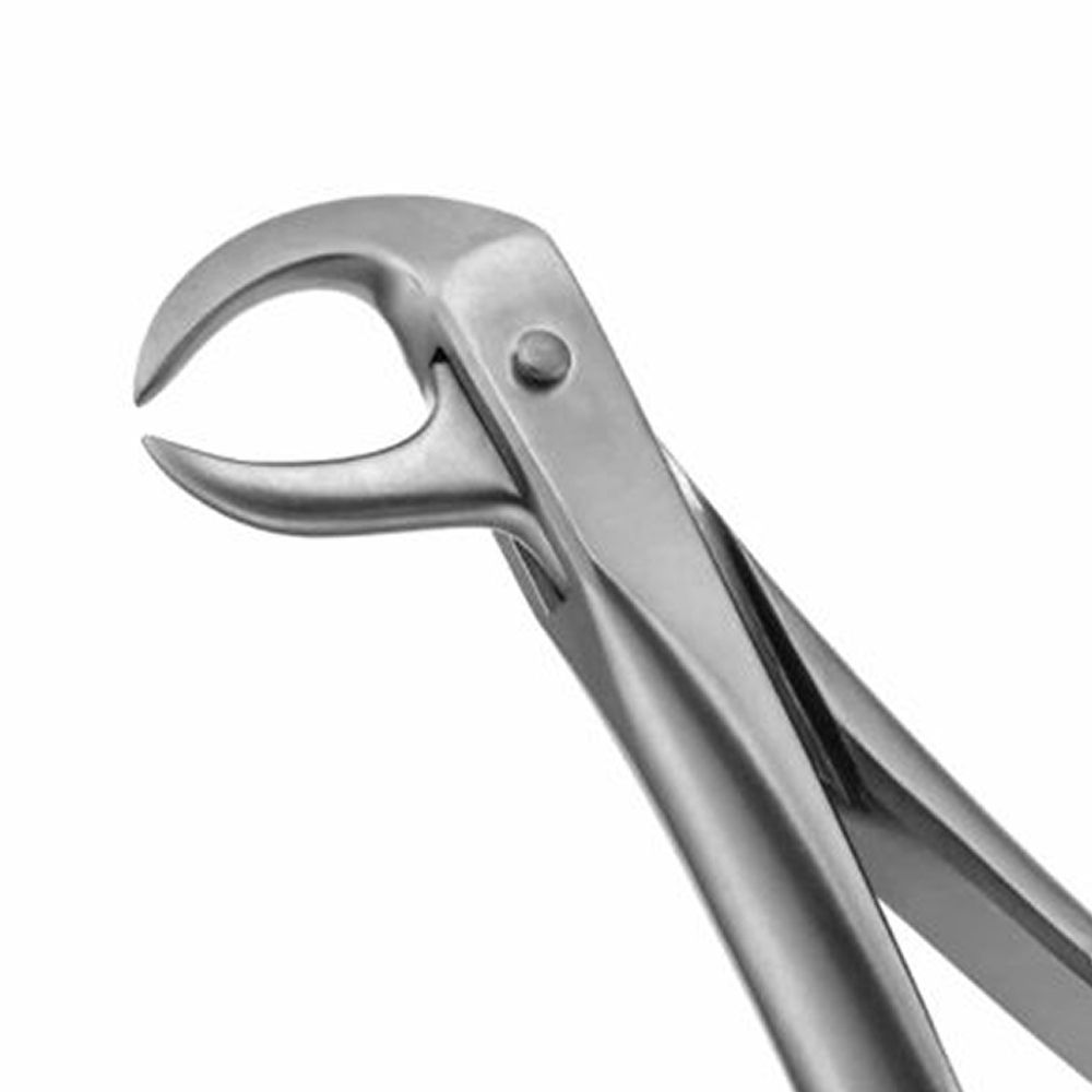 GDC Extraction Forceps Lower Molars - 86C Premium (FX86CP)