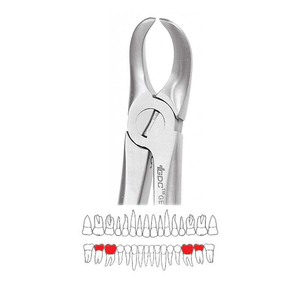 GDC Extraction Forceps Lower Molars - 87 Standard (FX87S)