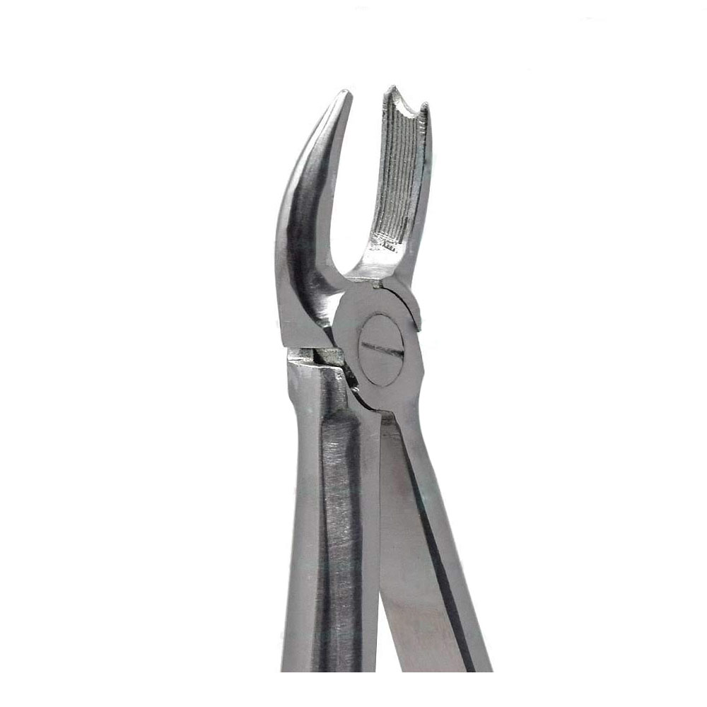 GDC Extraction Forceps Upper Molars Right Standard - (FX89S)