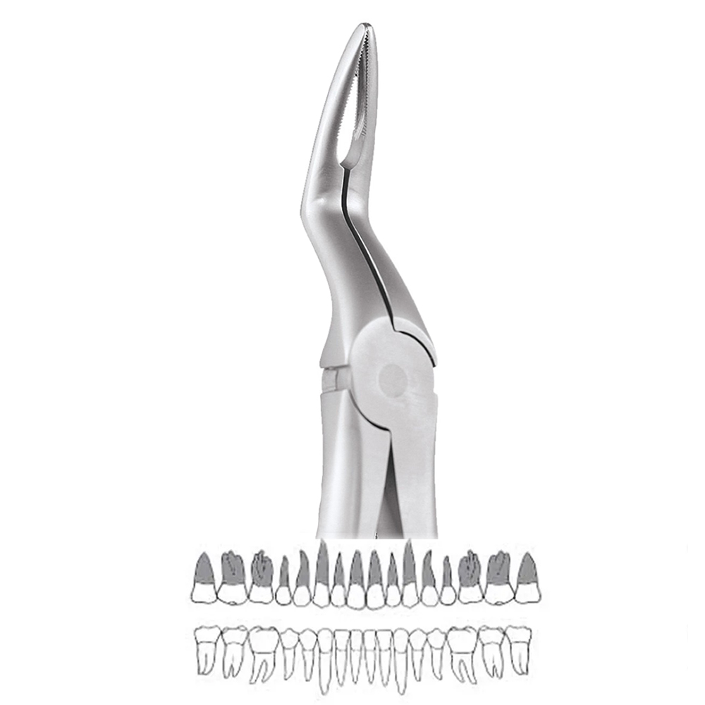 GDC Extraction Forceps Upper Roots - 897.00 Secure (SFX897.00)