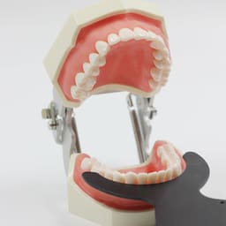 Julldent Contrastor for Dental Photography - 5