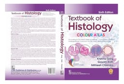 Textbo