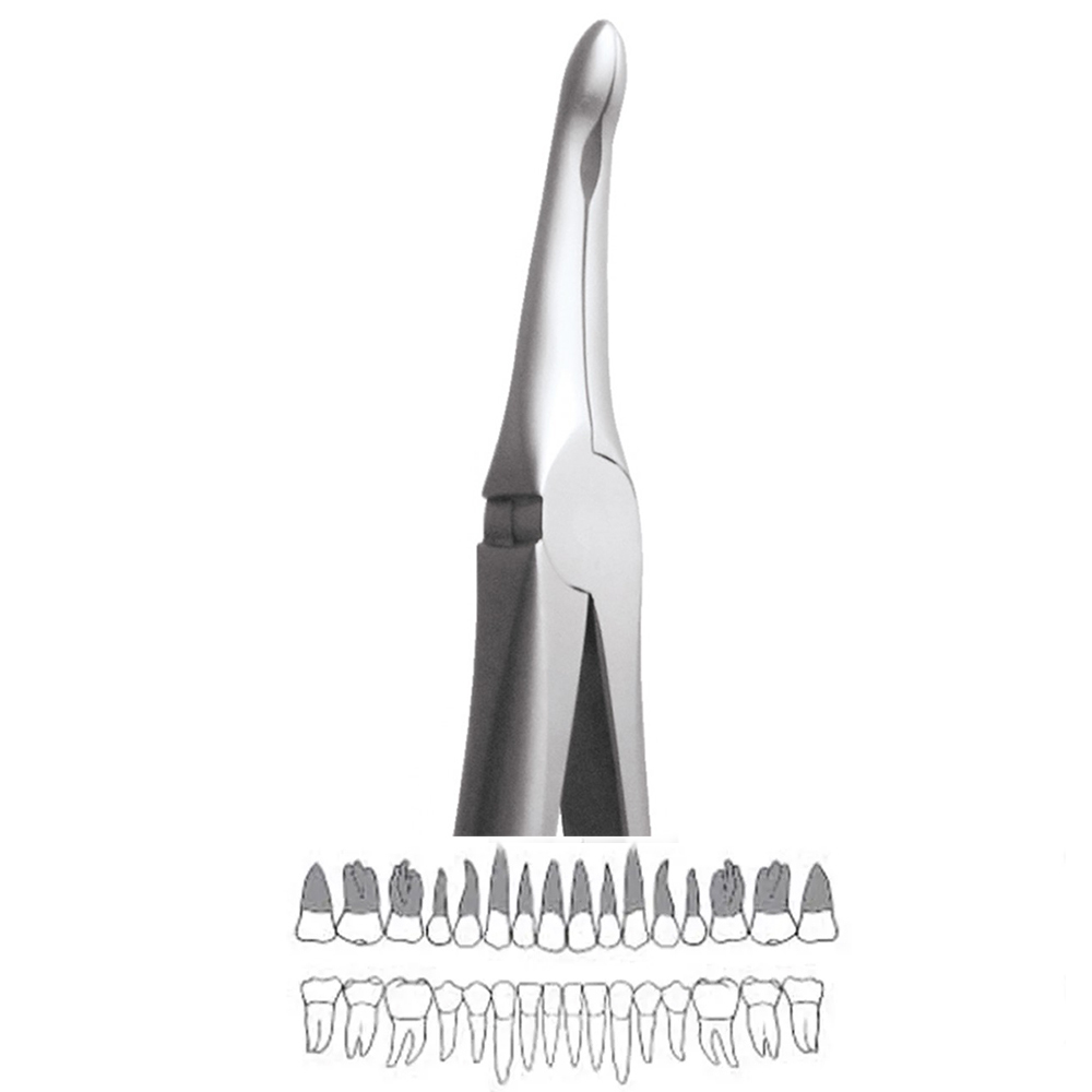 GDC Extraction Forceps Upper Roots - 944.00 Secure (SFX944.00)