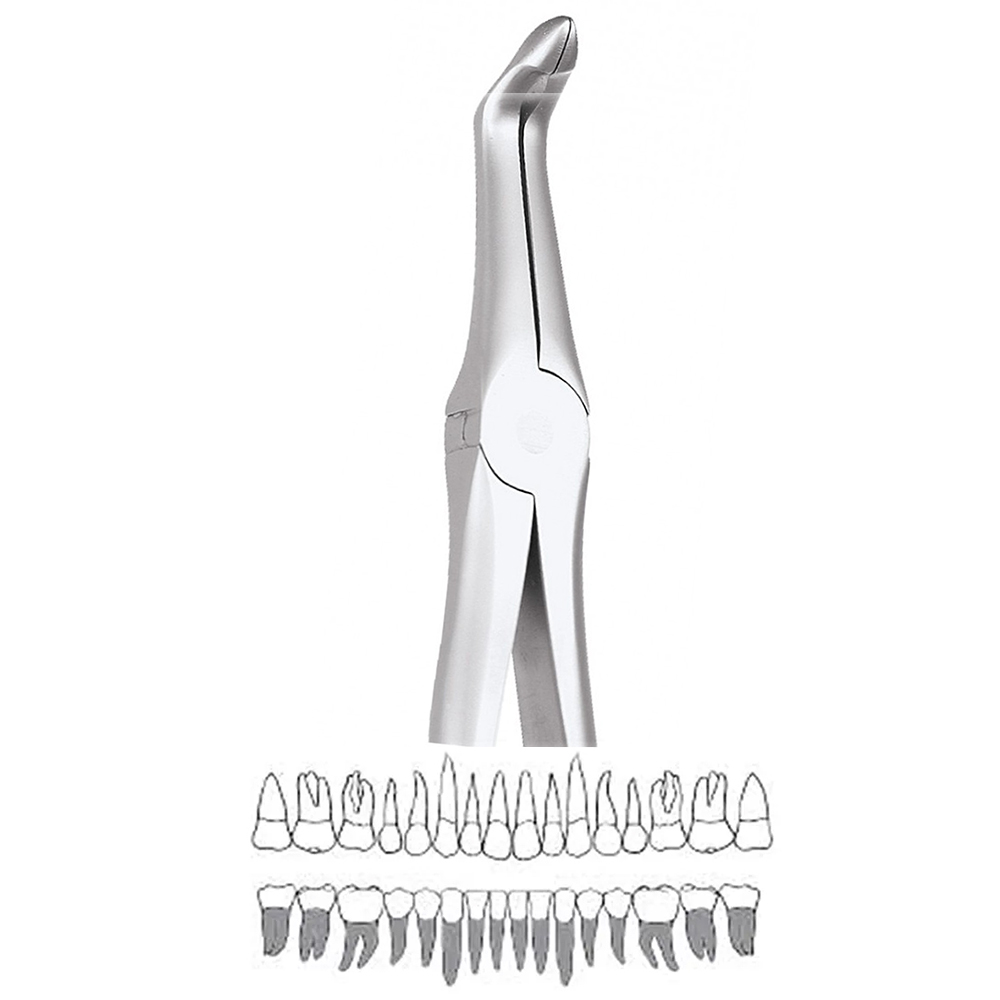 GDC Extraction Forceps Lower Roots - 945.00 Secure (SFX945.00)