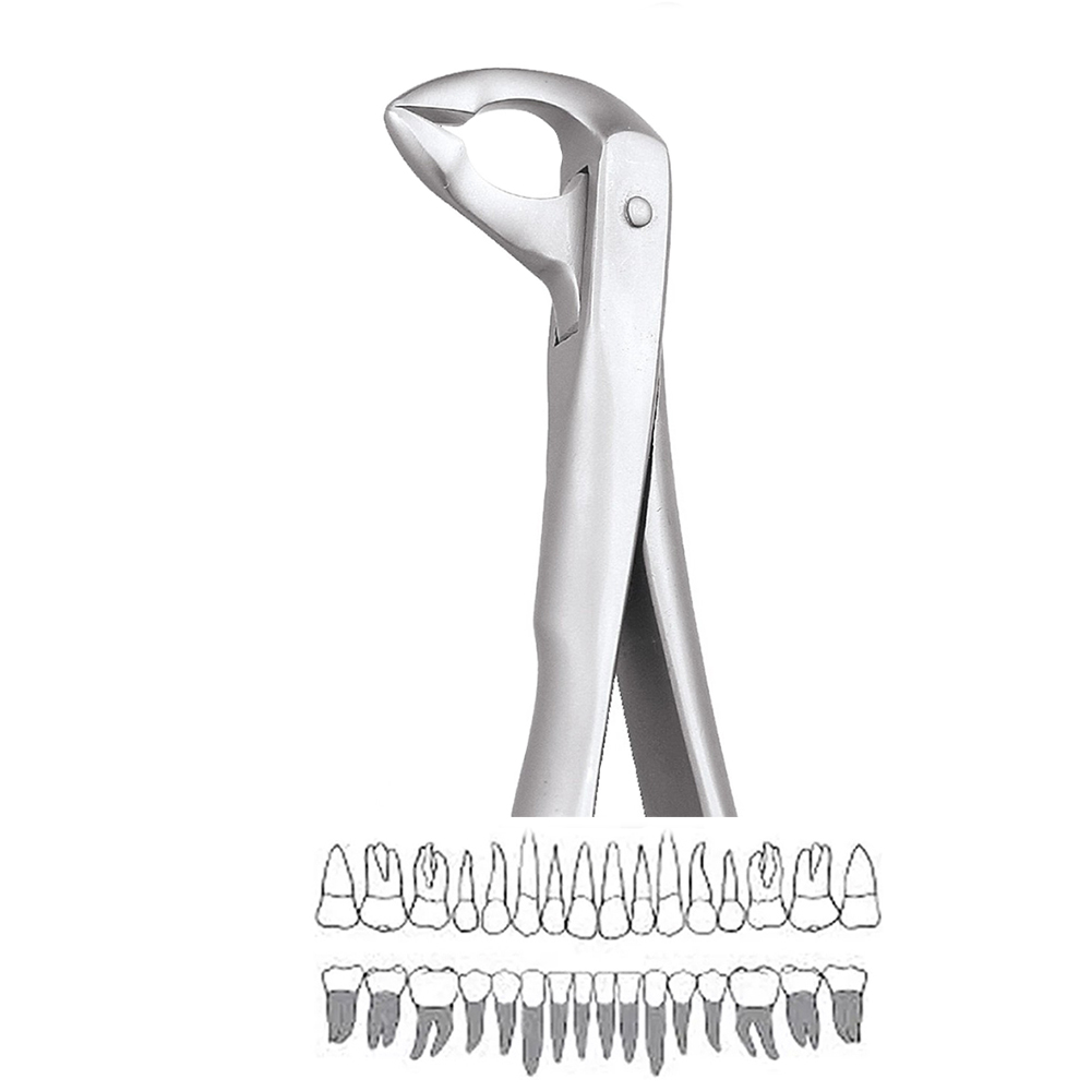 GDC Extraction Forceps Lower Roots - 974.00 Secure (Sfx974.00)