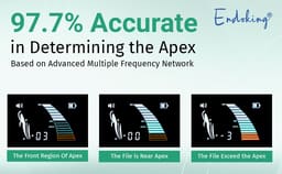 Endoking Apex Locator (Endo-Pex iii)  - 17