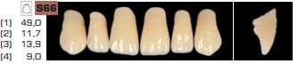 Ruthinium Acryrock Teeth Sets A1