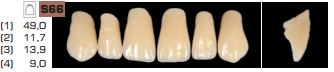 Ruthinium Acryrock Teeth Sets A2