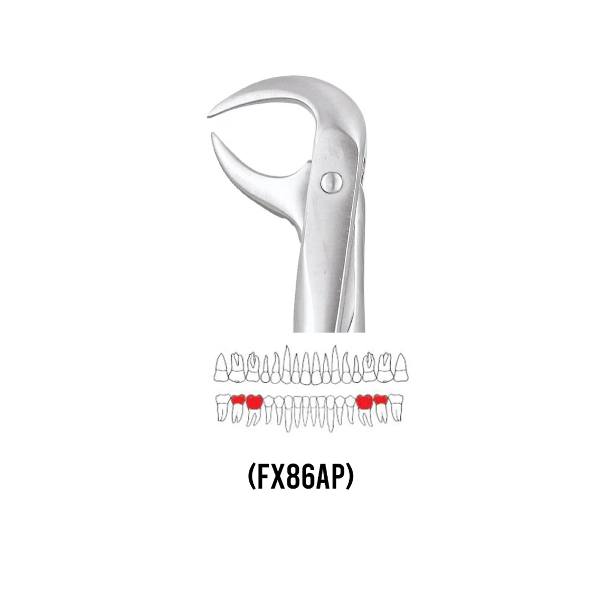GDC Extraction Forceps Lower Molars - 86A Premium (FX86AP)