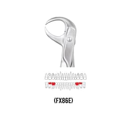 GDC Extraction Forceps Lower Molars - 86 Ergonomic (FX86E) - 2