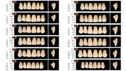 Ruthinium Acryrock Teeth Sets A3 (Pack of 4 sets) - 7