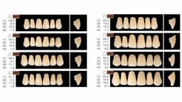 Ruthinium Acryrock Teeth Sets A3 (Pack of 4 sets) - 8