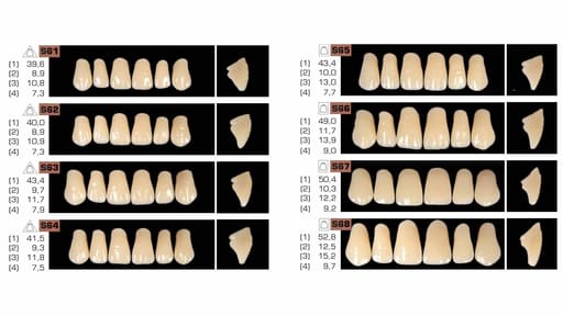 Ruthinium Acryrock Teeth Sets A3 (Pack of 4 sets)