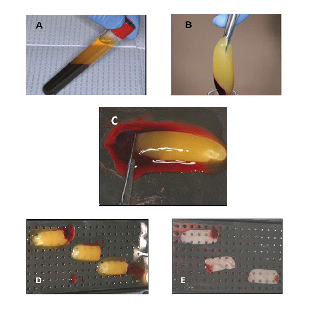 Julldent Magic Prf Box