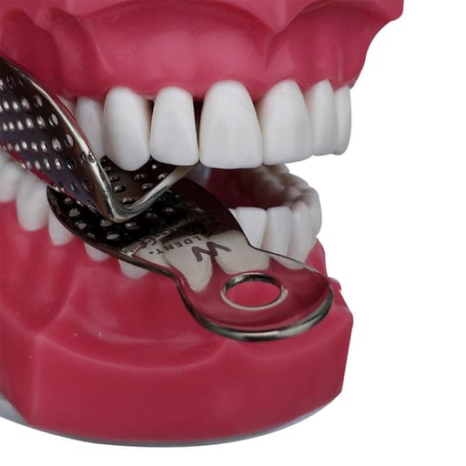 Waldent Adjustable Impression Trays 