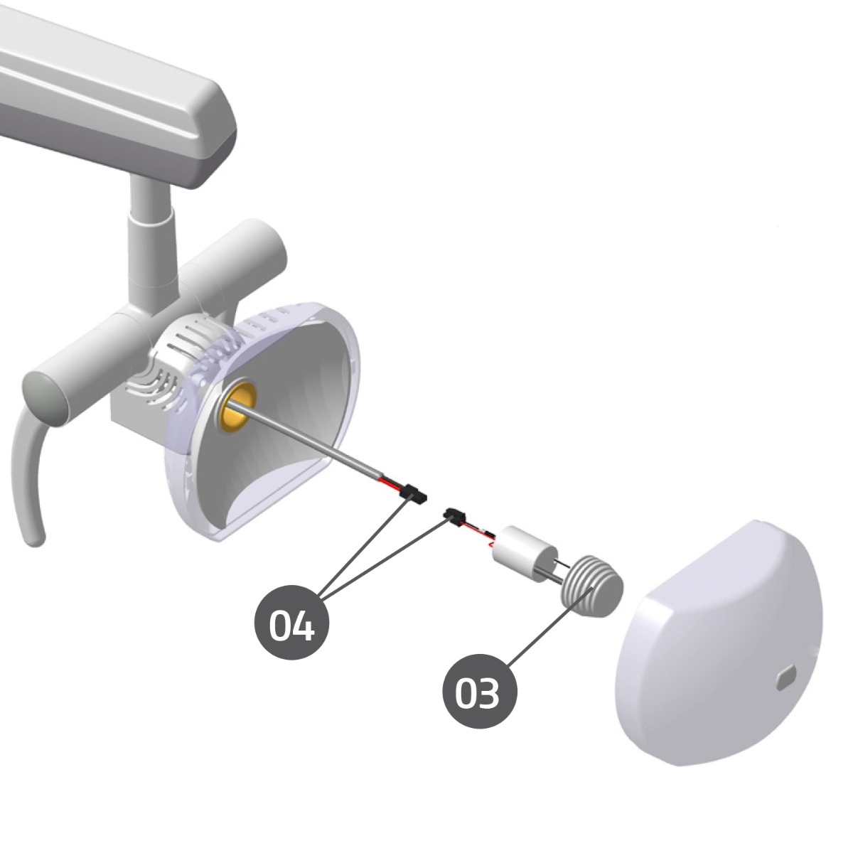 GNATUS New Presus Light Bulb