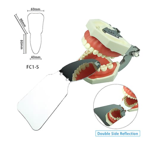 U Ortho Double Sided Stainless Steel Photographic Mirrors Angulated