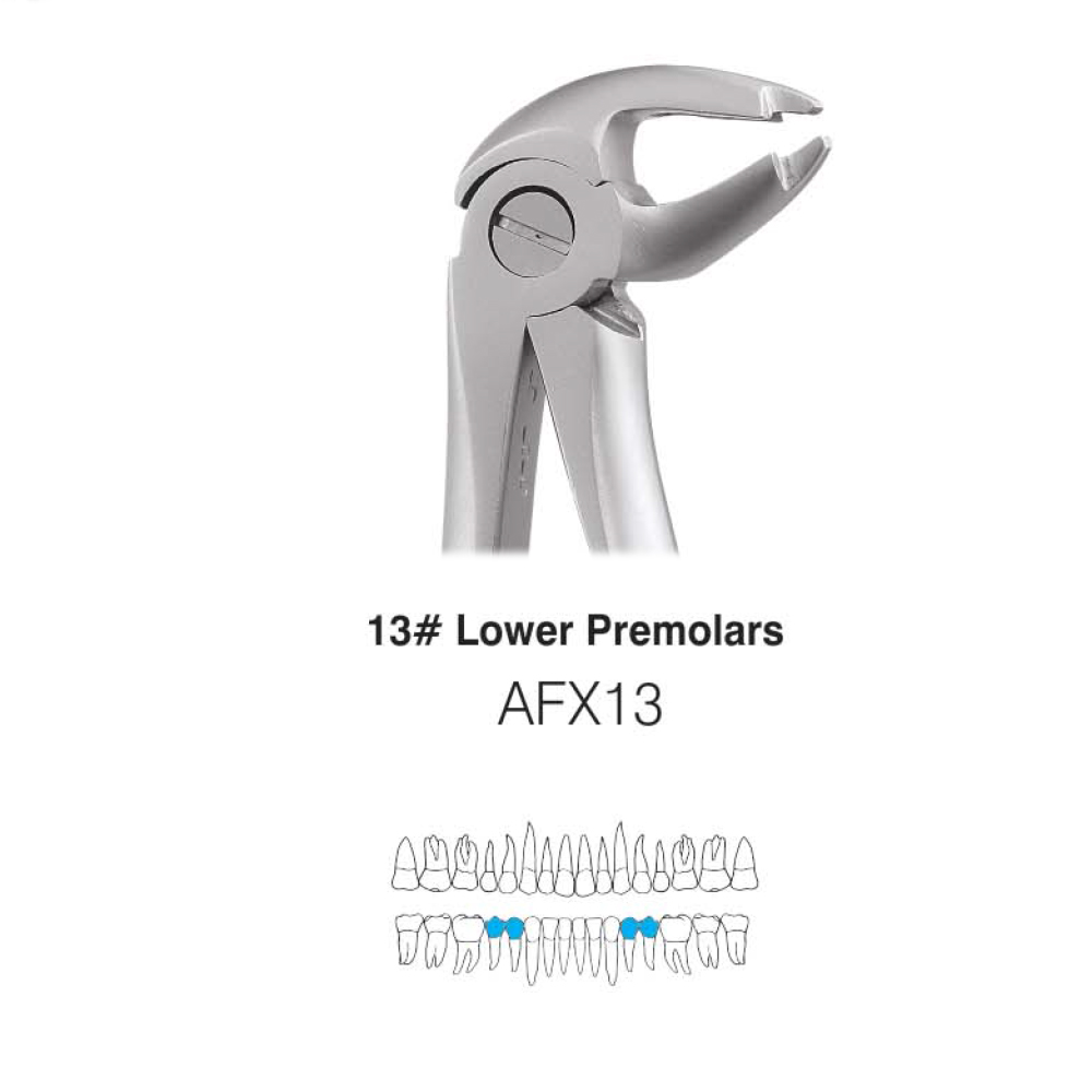 GDC Extraction Forceps Lower Premolars - 13 Atraumatic (AFX13)
