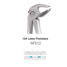 GDC Extraction Forceps Lower Premolars - 13 Atraumatic (AFX13) - 3