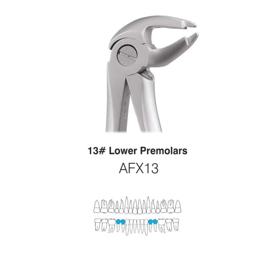 GDC Extraction Forceps Lower Premolars - 13 Atraumatic (AFX13)