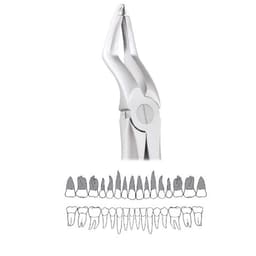 GDC Extraction Forceps Upper Roots - 51a Atraumatic (Afx51a)