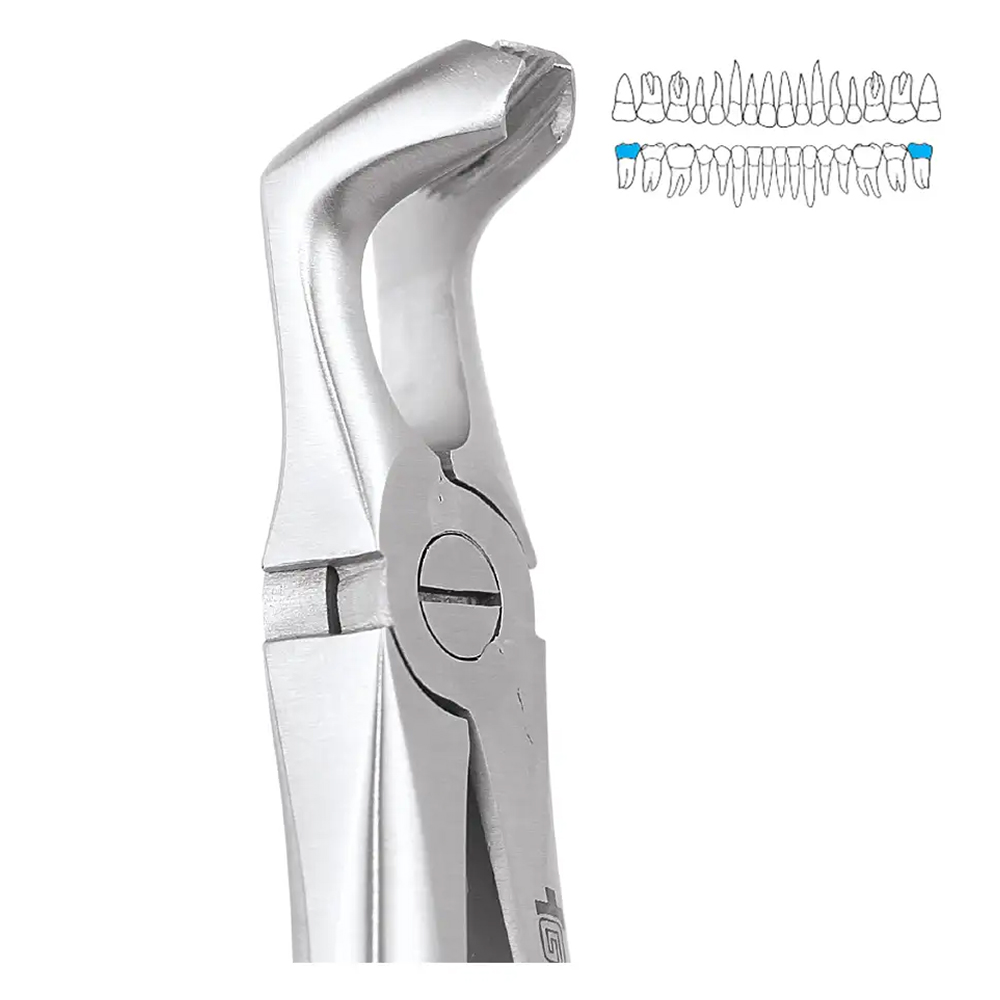 GDC Extraction Forcep Lower Third Molars - 79 Premium (FX79P)