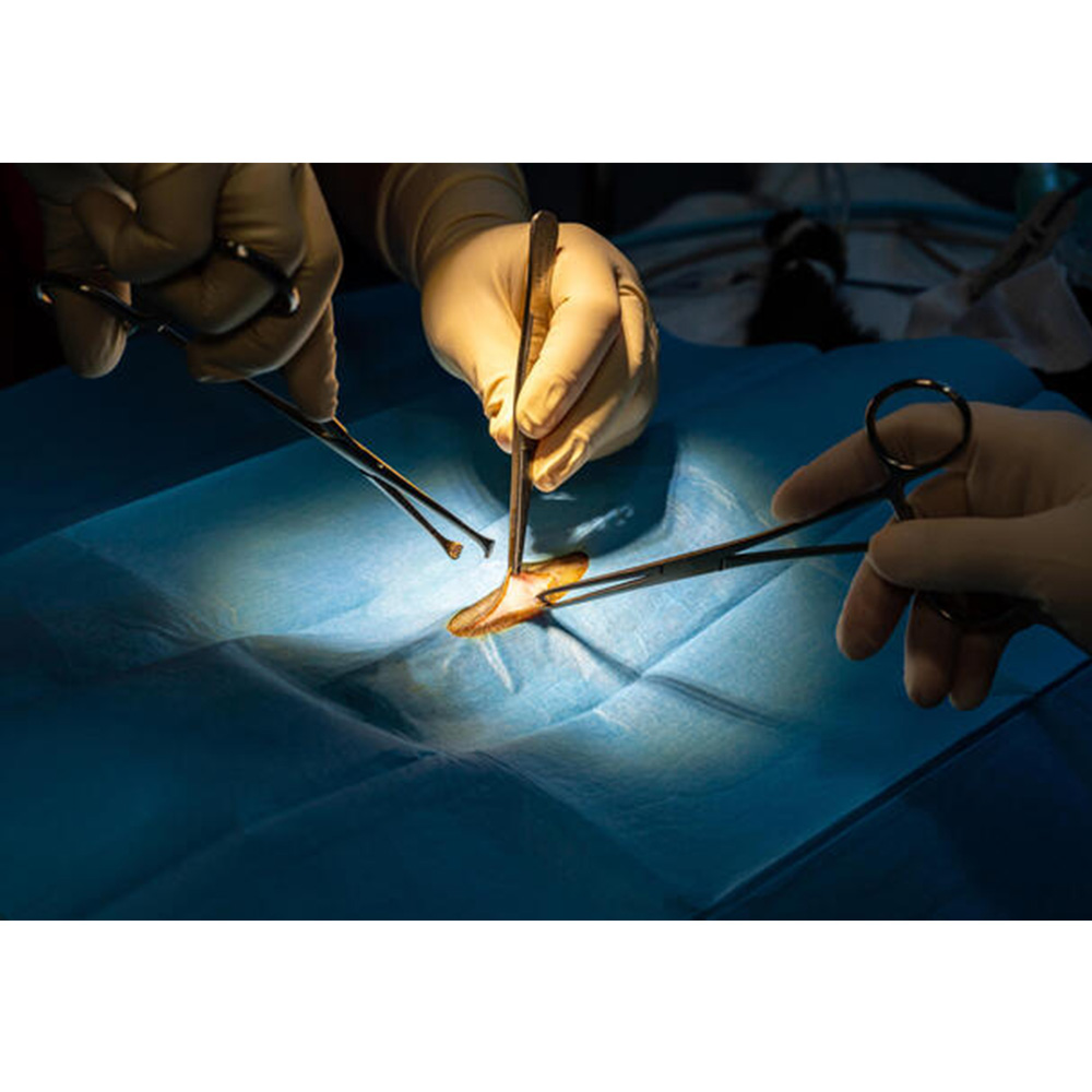 GDC Allis Forceps Baby-4x5 (12.5cm) (TFB)