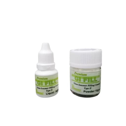 Ammdent Gi Fill Premium GIC
