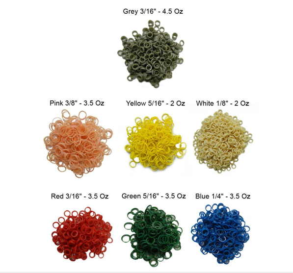 Wonder Colour Elastics 