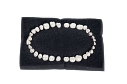 API Typodont Teeth Set of 32 with Screw - FG3