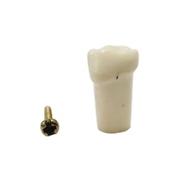 API Lower Left Decidious First Molar Typodonts Individual FZ (Pedo) # 74