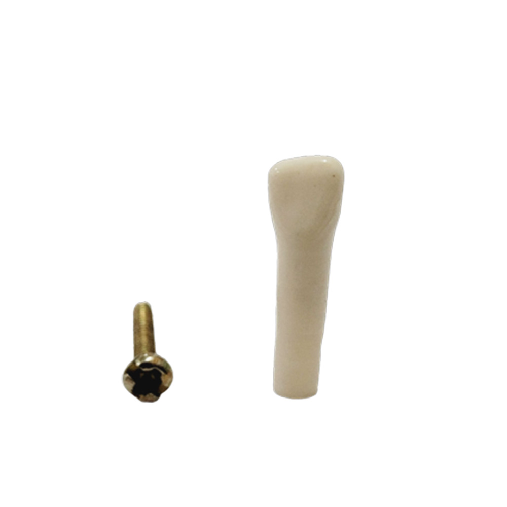 API Lower Right Decidious Lateral Incisor Typodonts Individual FZ (Pedo) # 82