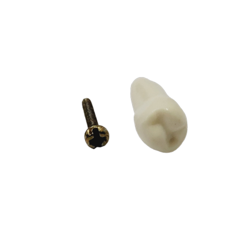 API Lower Left Second Premolar Typodonts Individual-B561-35