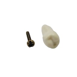 API Lower Left Second Premolar Typodonts Individual-B561-35