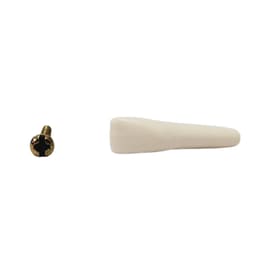 API Lower Right Central Incisor Typodonts Individual-B561-41