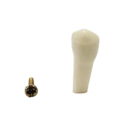 API Lower Left First Premolar Typodonts Individual-B561-34