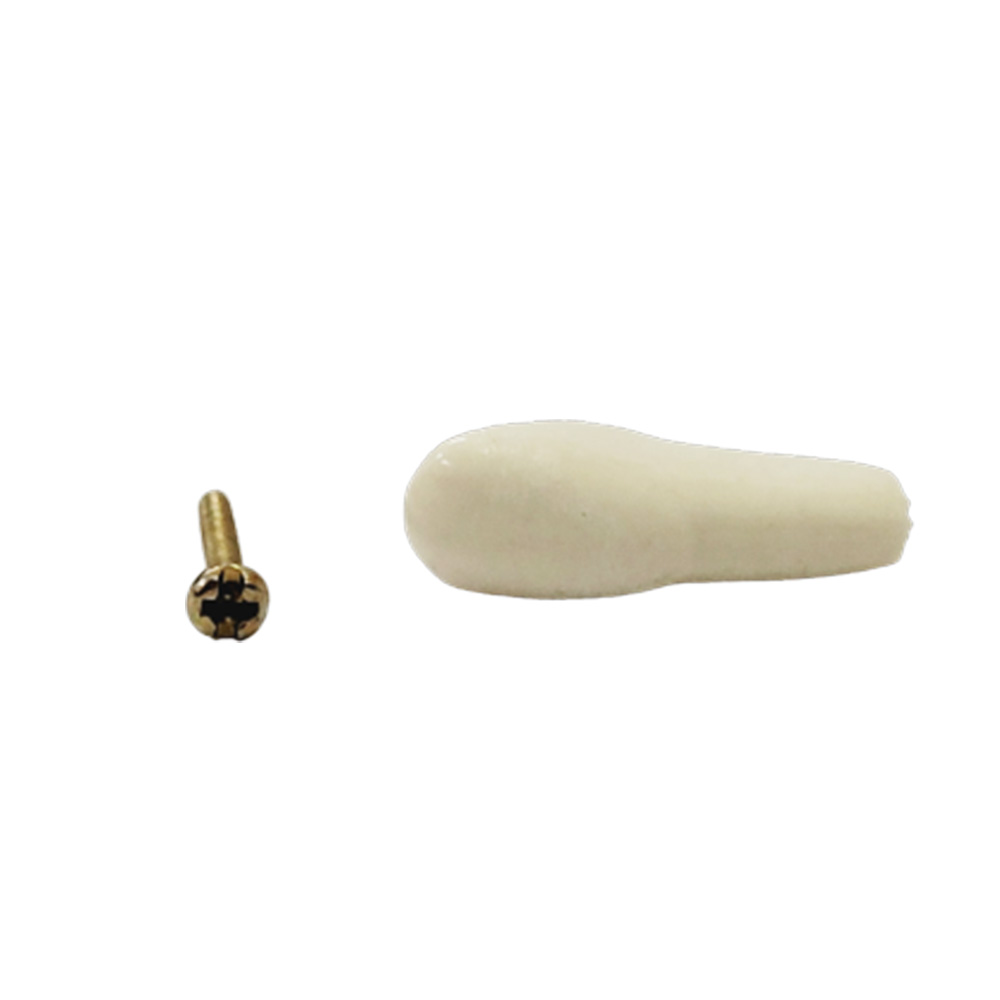 API Upper Left Canine Typodonts Individual-B561-23