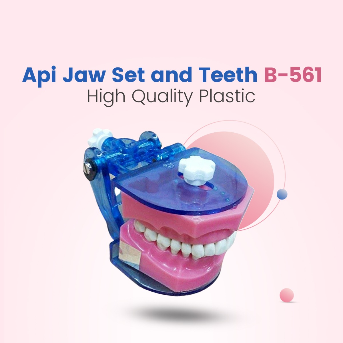 Api Jaw Set And Teeth B-561