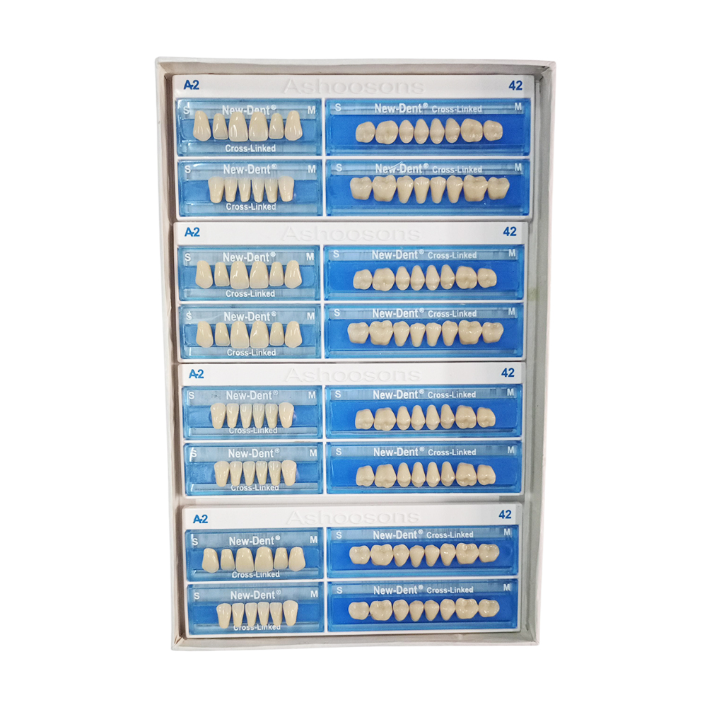 API Acrylic Teeth Sets - NewDent S42-A2 (Pack of 4 Sets)