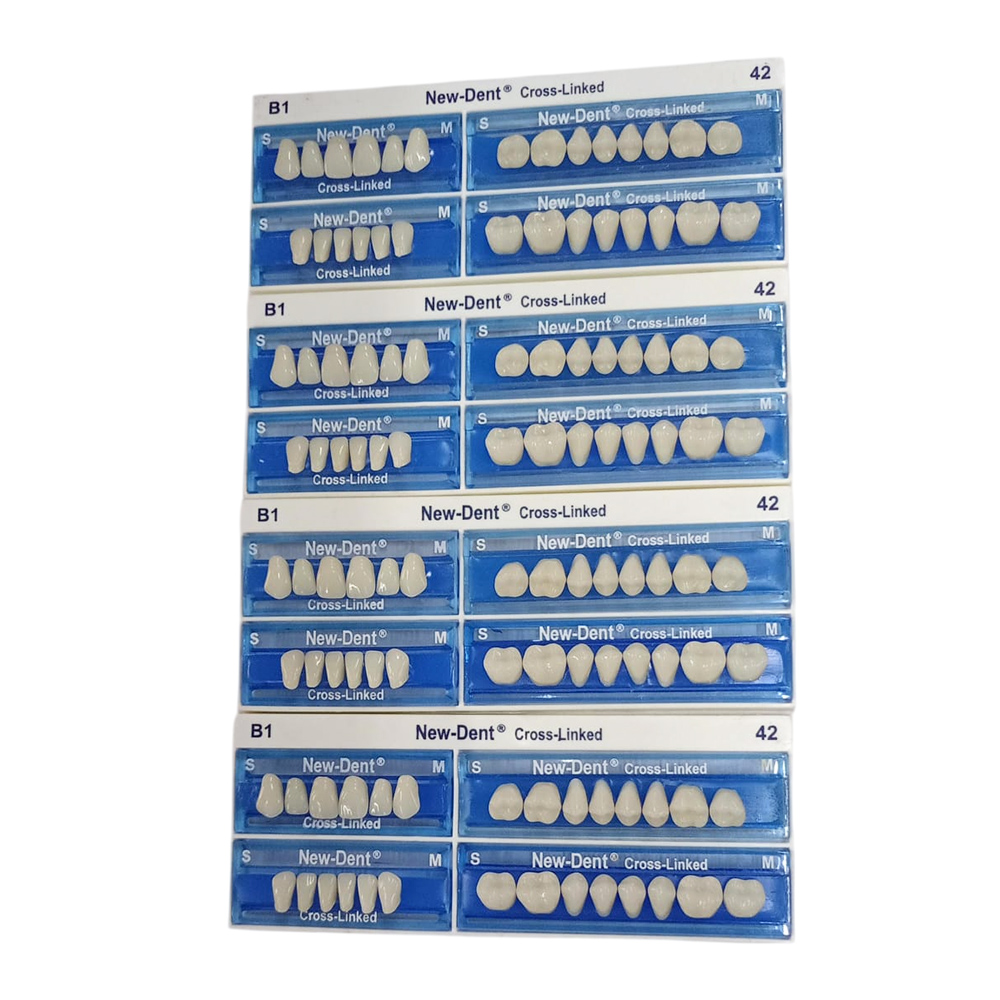 API Acrylic Teeth Sets - NewDent S42-B1 (Pack of 4 Sets)