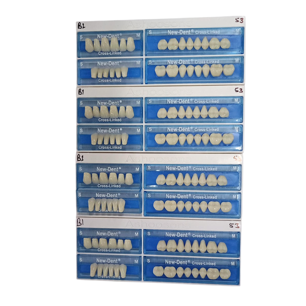API Acrylic Teeth Sets - NewDent S53-B1 (Pack of 4 Sets)