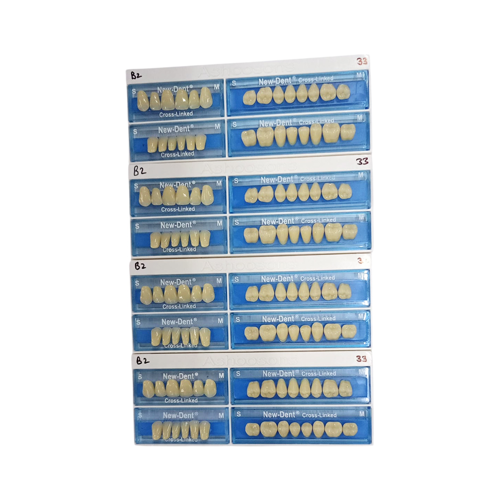 API Acrylic Teeth Sets - NewDent S33-B2 (Pack of 4 Sets)