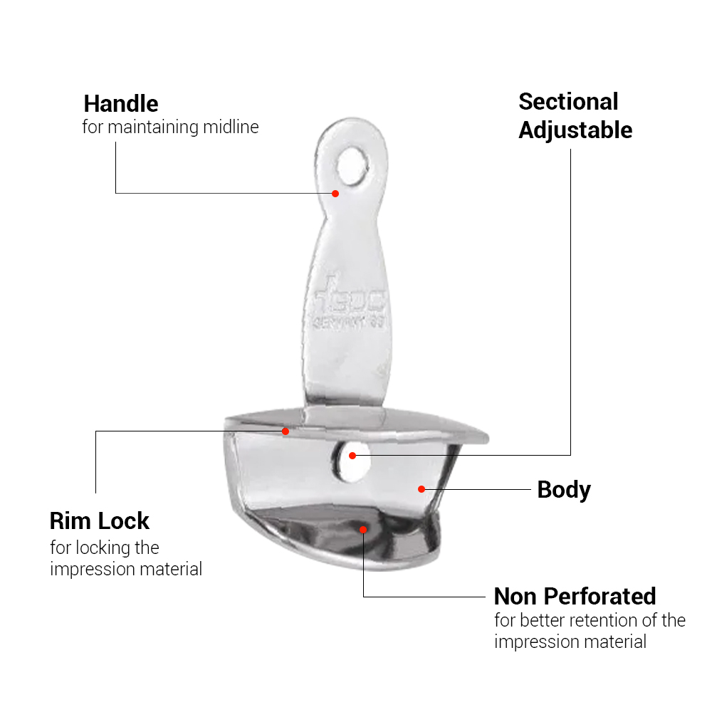 GDC Adjustable Dentulous Non Perforated (Itrldnpa)