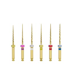 SuperEndo Super Gold Flex Rotary Files Assorted 21mm