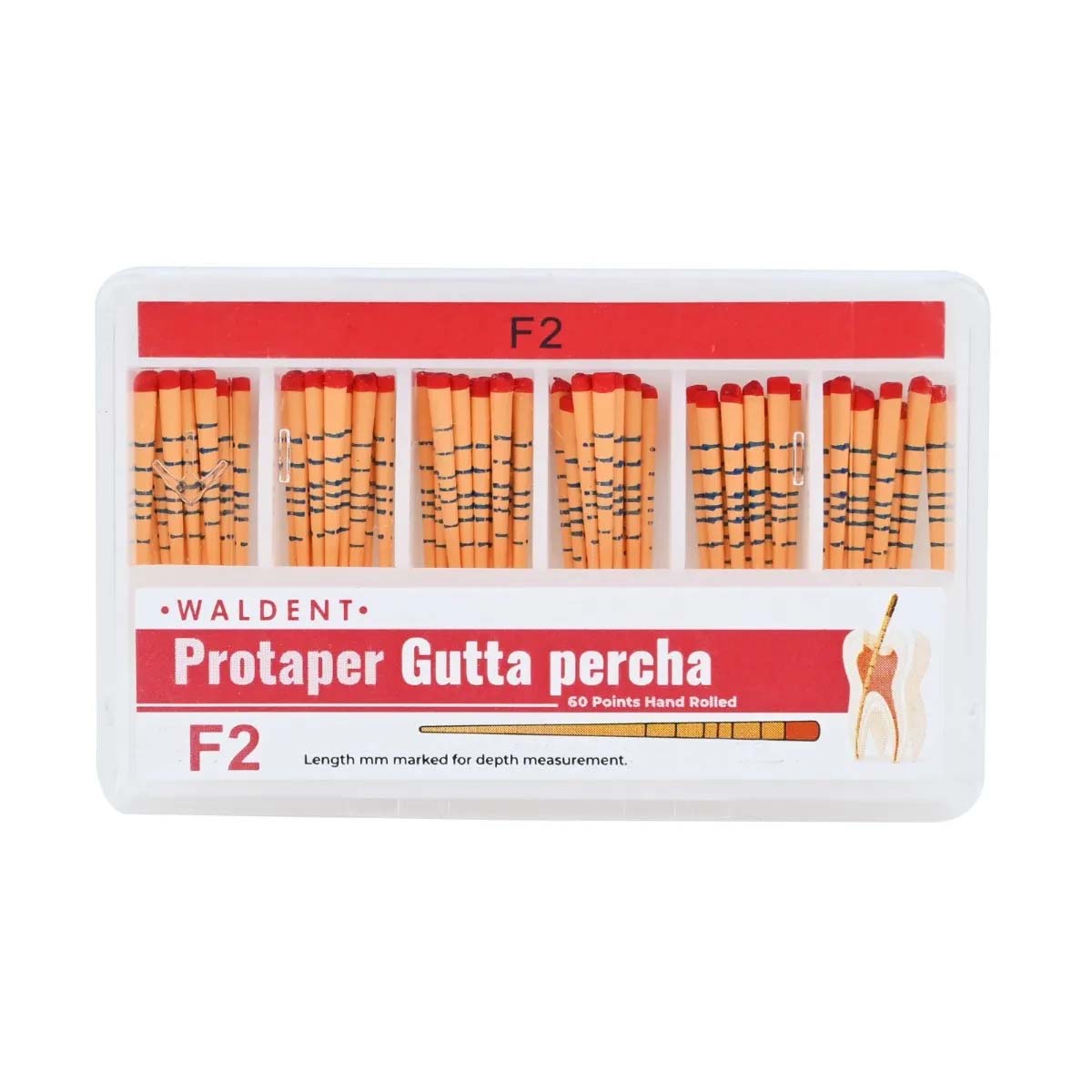Waldent Gutta Percha Points Protaper (Length Marked) #F2