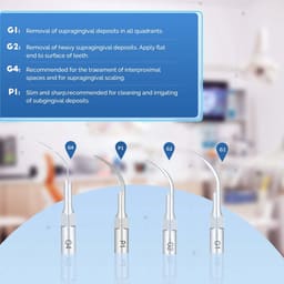 Waldent Anytooth Ultrasonic Scaler Tips Kit (EMS,UDS Type) - 14