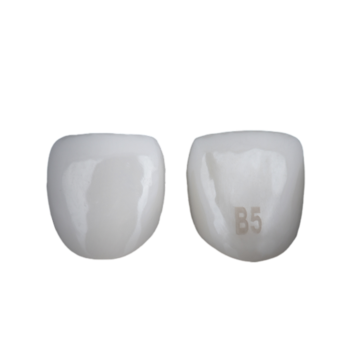Kids-e-Dental BioFlx Lateral incisor 5 - B5