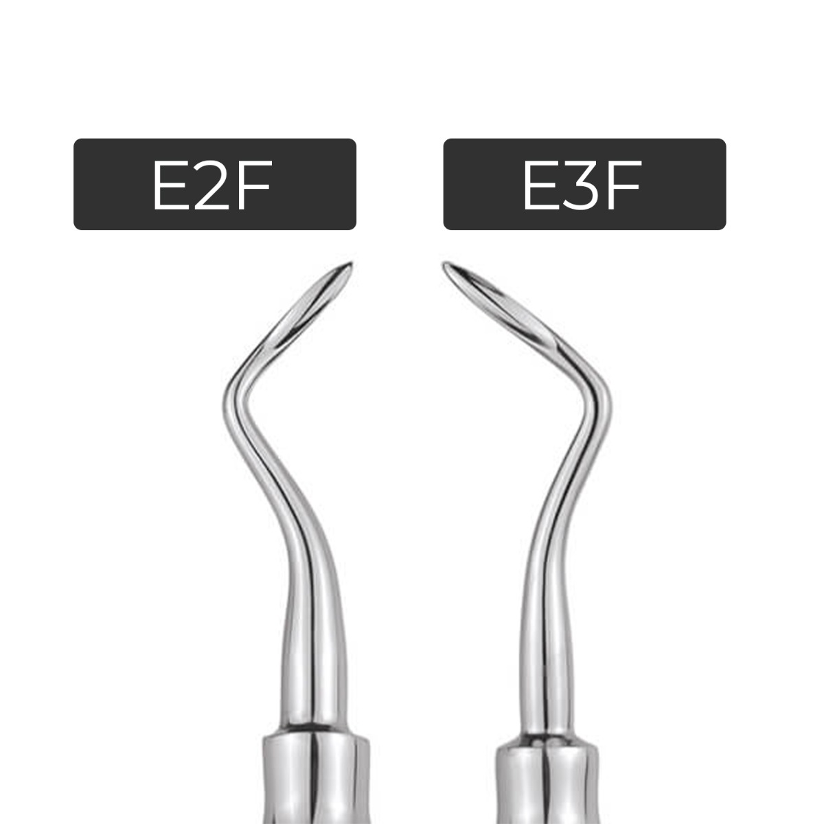 GDC Root Elevator With Warwick James In Pouch - RESP10