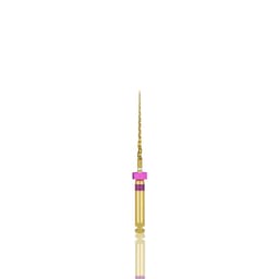 Dentsply Protaper Gold Rotary Files 21mm S1 (Pack of 6) - 2